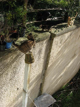 f0234936_23325137.jpg