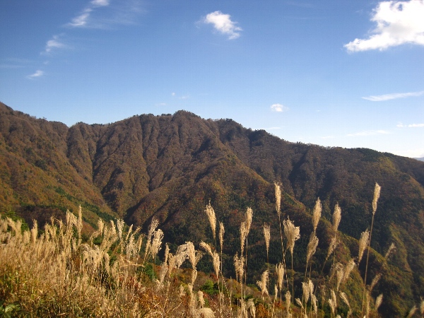 b0149340_1848514.jpg