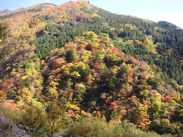 b0149340_18495079.jpg