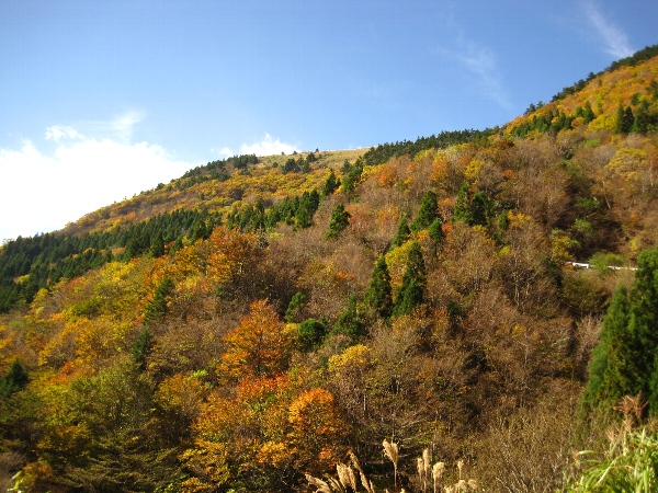 b0149340_18541781.jpg