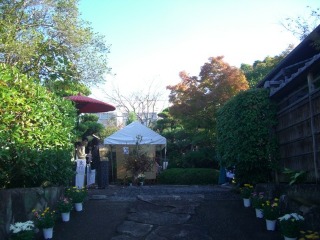 e0110940_04271.jpg