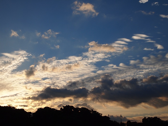 a0146442_7591231.jpg