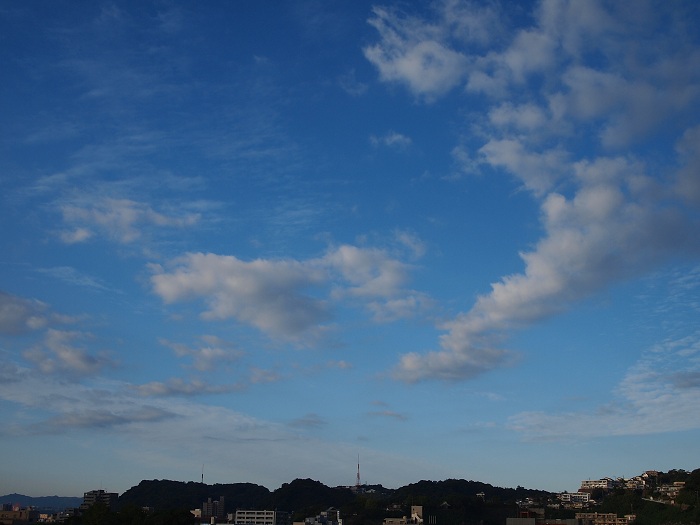 a0146442_7593530.jpg