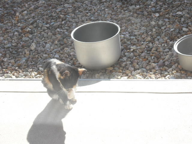 c0194042_21315595.jpg