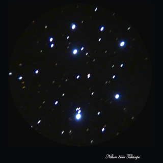 b0167343_233832.jpg