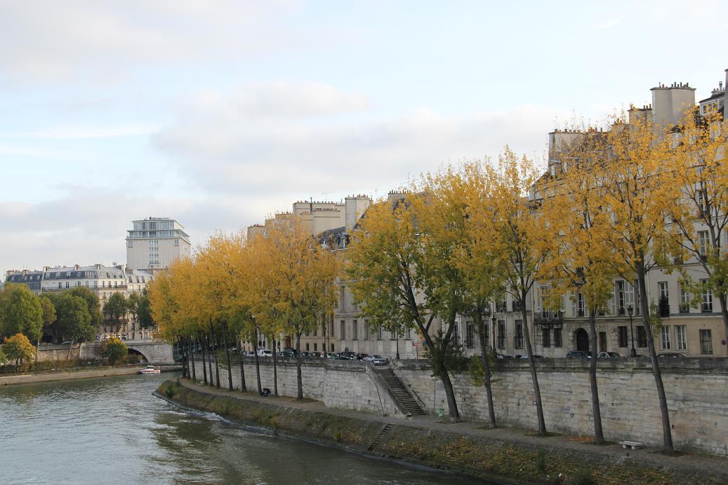 e0033248_1023971.jpg