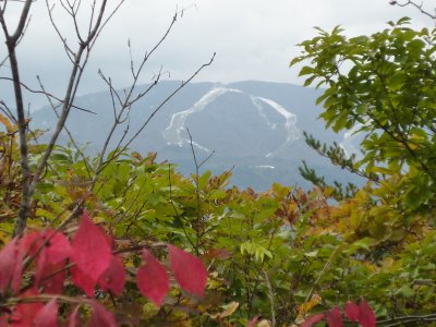 b0132950_2137518.jpg