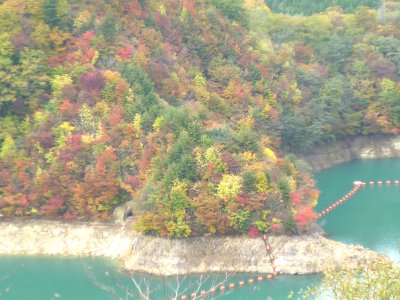 b0132950_21511070.jpg