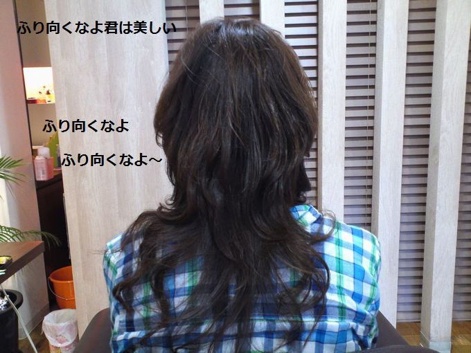 a0090451_2359324.jpg
