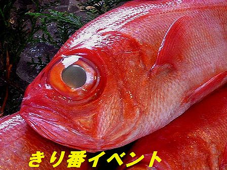 a0130451_19331142.jpg