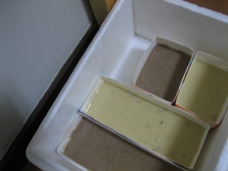 c0091651_785075.jpg
