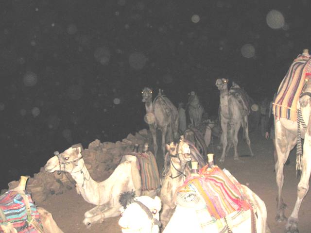 b0173754_1132154.jpg