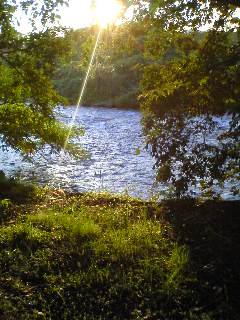 c0214455_1842105.jpg