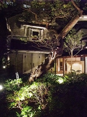 f0205857_11231647.jpg