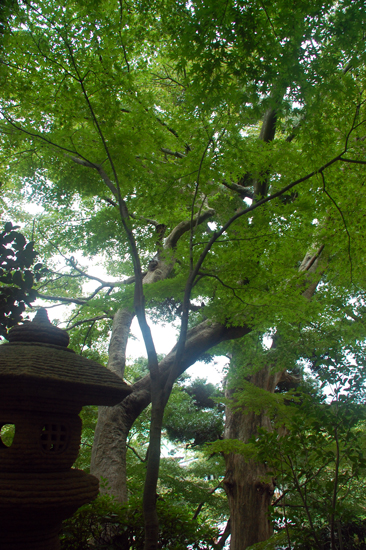 f0176458_19574089.jpg