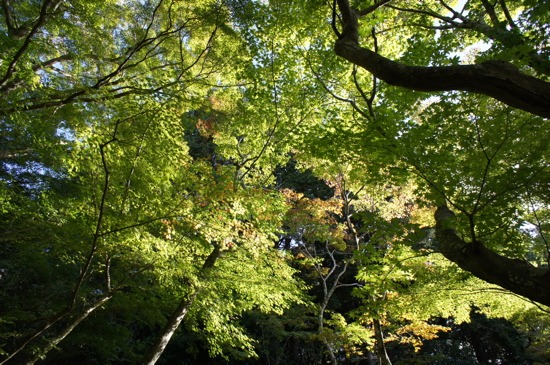 c0153259_16514177.jpg