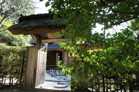 c0153259_16524577.jpg