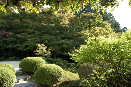 c0153259_1652779.jpg