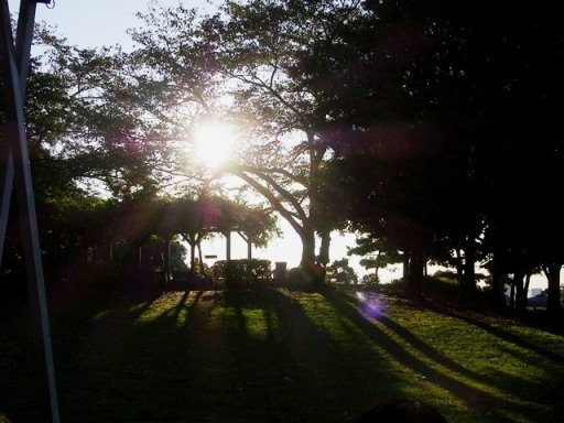 b0189667_032783.jpg