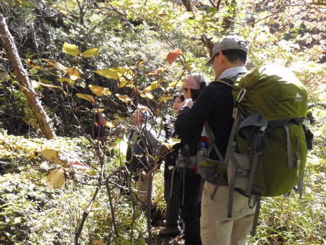 c0042869_20132062.jpg