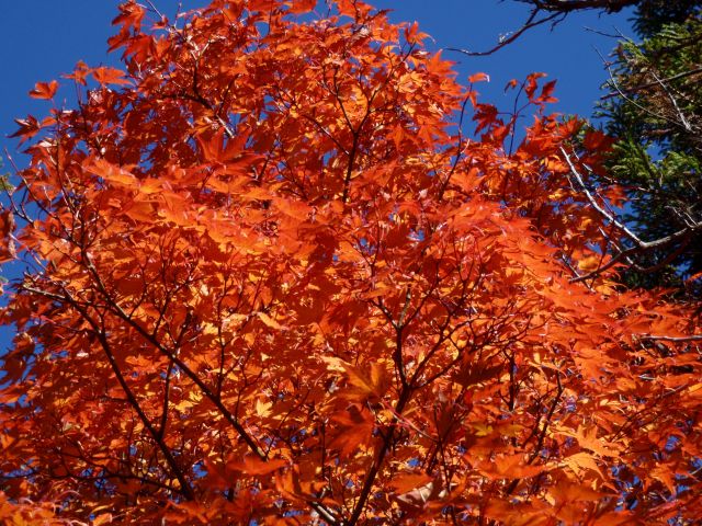 c0042869_20141911.jpg