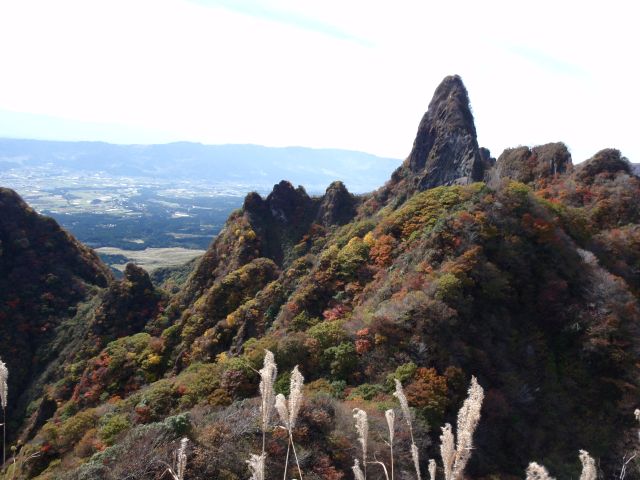 c0042869_2047359.jpg