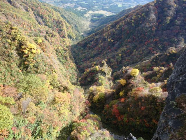 c0042869_2049155.jpg
