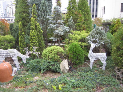 c0202870_1424865.jpg