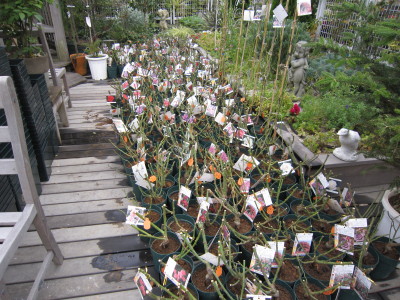 c0202870_1425310.jpg