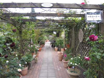 c0202870_14254048.jpg