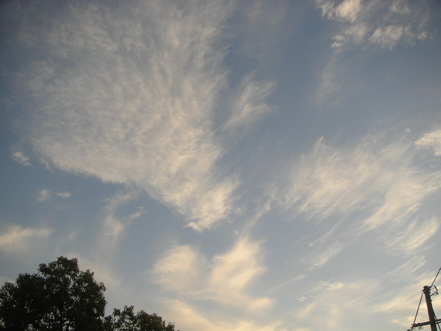 b0175571_8482739.jpg