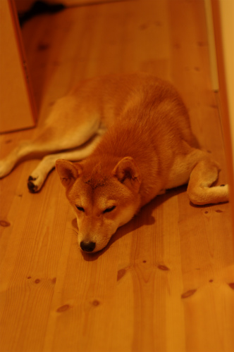 f0214771_12241175.jpg