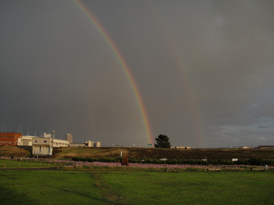 b0130273_2214167.jpg
