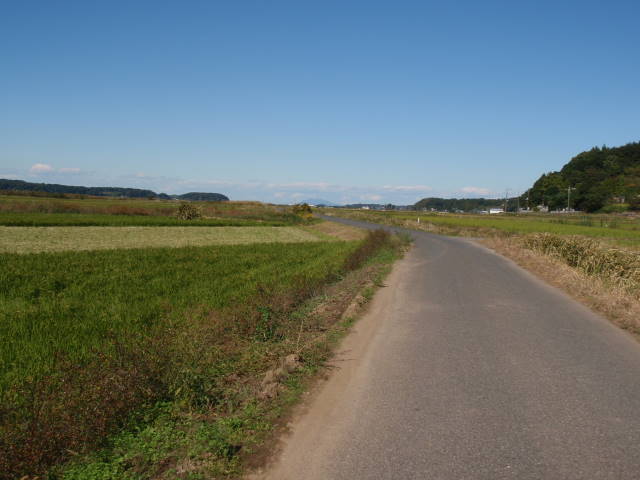 a0113874_2330244.jpg