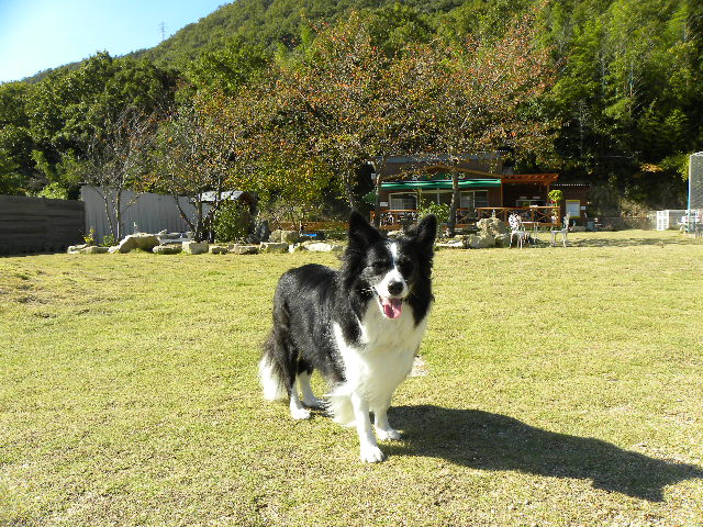 c0120585_20101096.jpg