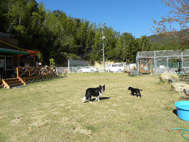 c0120585_20105022.jpg