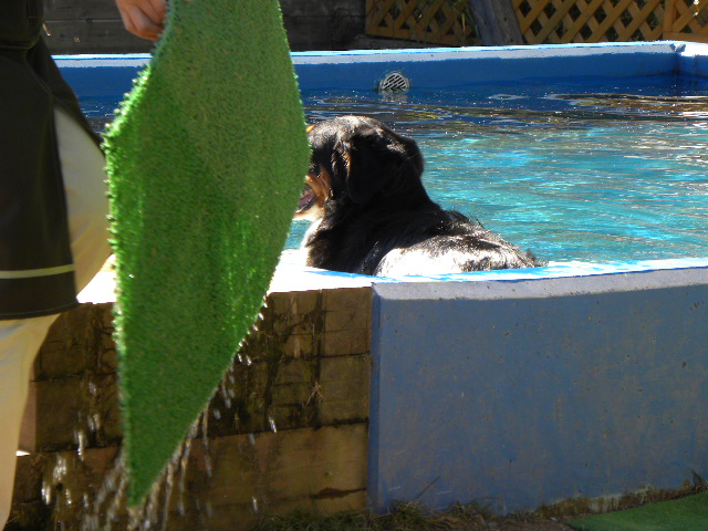 c0120585_2012756.jpg