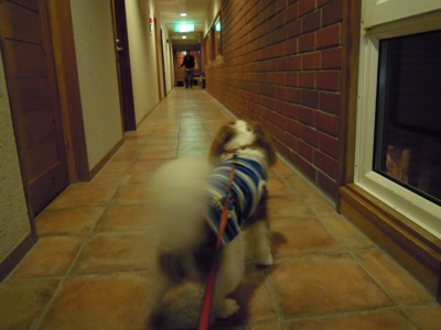 d0044986_22522960.jpg