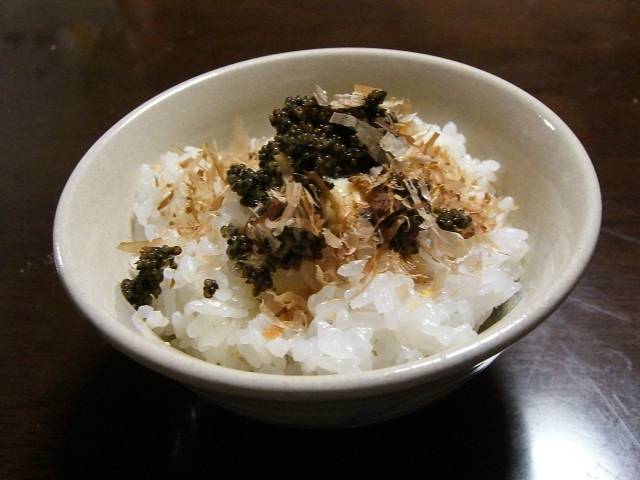 f0201488_2523984.jpg