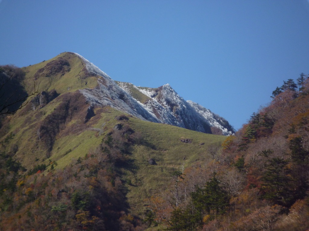 a0118289_874189.jpg