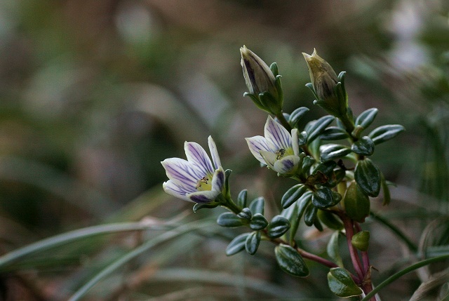 f0000789_22514332.jpg
