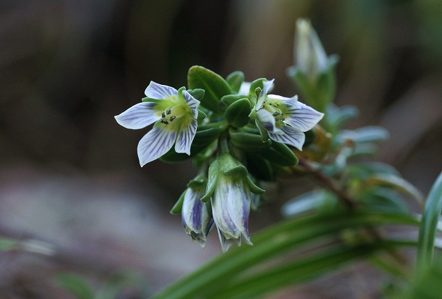 f0000789_22521211.jpg