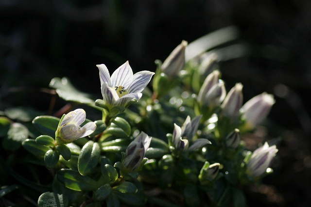 f0000789_22571622.jpg
