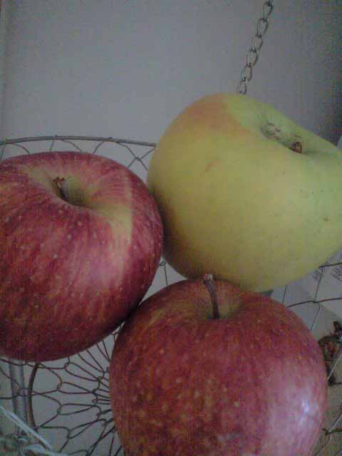 f0101794_1036468.jpg
