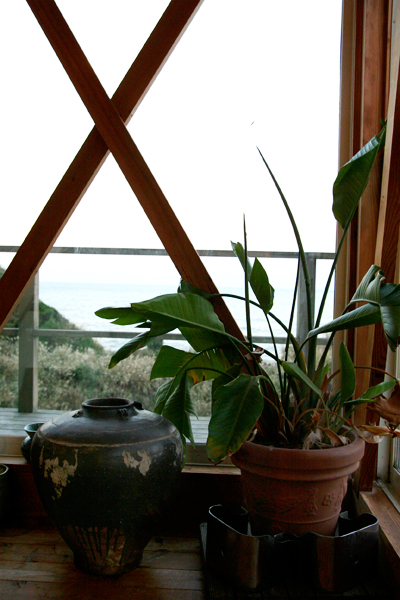 d0100095_11345495.jpg