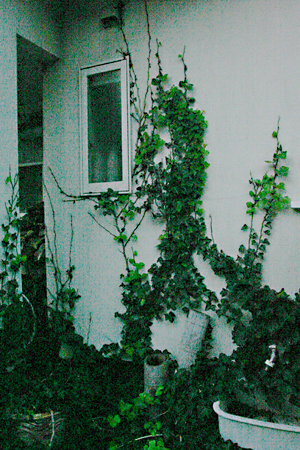 d0100095_11382571.jpg