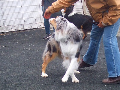 f0077697_1756487.jpg