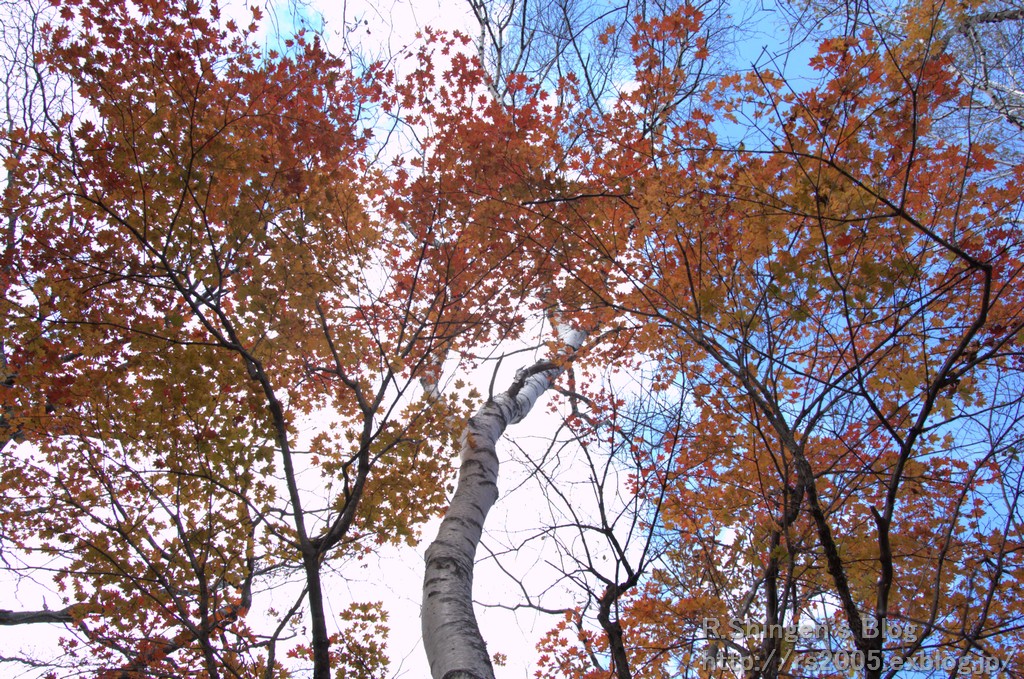c0025498_0324100.jpg