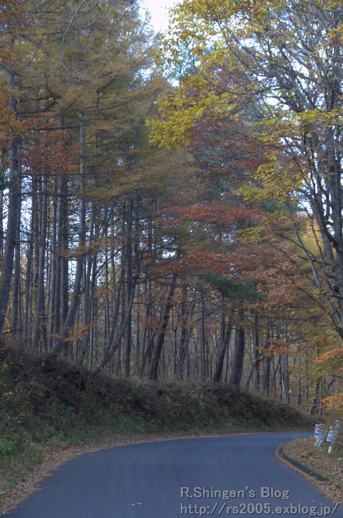 c0025498_044081.jpg