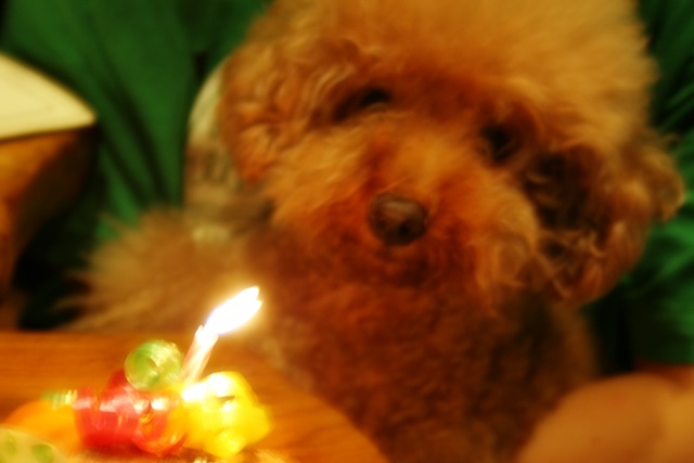 c0184402_1753863.jpg